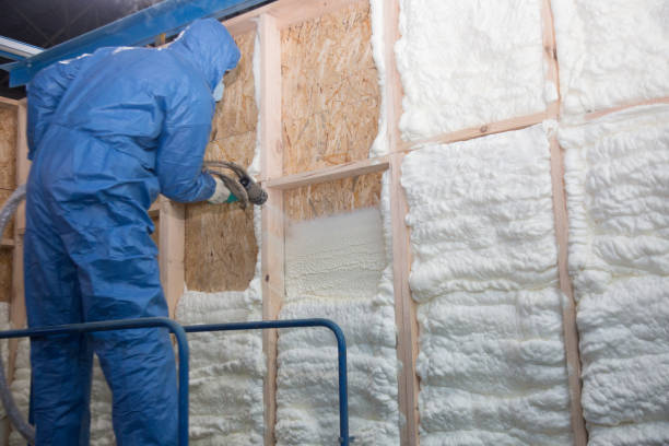 Best Insulation for New Construction  in Newman, CA